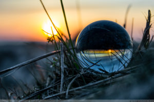 geocachen, Dänemark, Fanö, Strand, Rindy, Urlaub