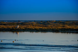 geocachen, Dänemark, Fanö, Strand, Rindy, Urlaub