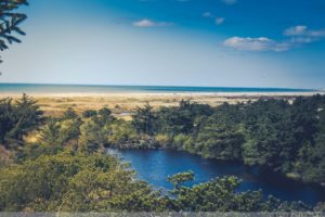 Geocaching, Dänemark, Fanö, Fano, Danmark, Geocachen, Wandern, Vogelkoje, Sonderho, Natur, Landschaft, Fotografie, Urlaub