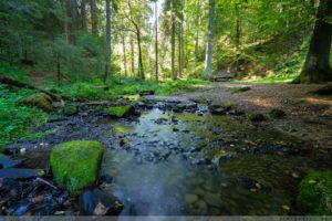 Silberbachtal, Horn, Bad Meinberg, Teutoburger Wald, Lippe, NRW, wandern, geocachen, geocaching, natur, Fotografie, Wasser