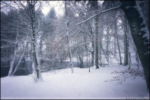 Försterteiche, Lemgo, Lemgoer Mark, Natur, Winter, Schnee, Winterwunderland, Lippe