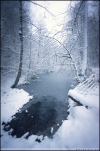 Försterteiche, Lemgo, Lemgoer Mark, Natur, Winter, Schnee, Winterwunderland, Lippe